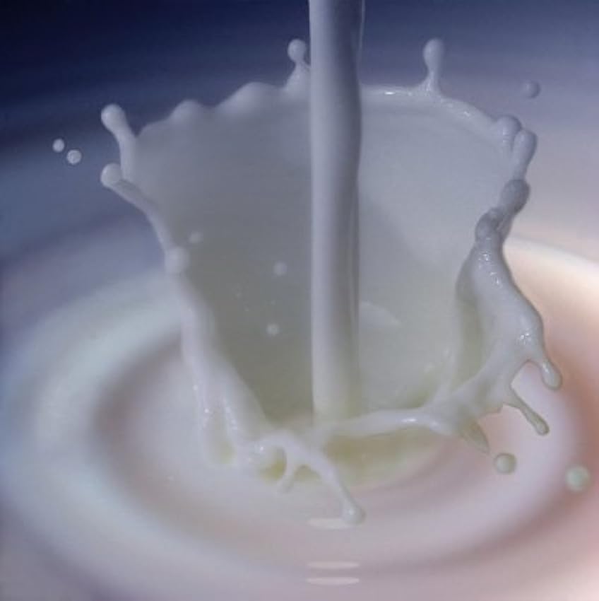 2 kg Lait écrémé en poudre Milk Powder à usage alimentaire Soluble lyophilisat Milk Powder KstypEZc