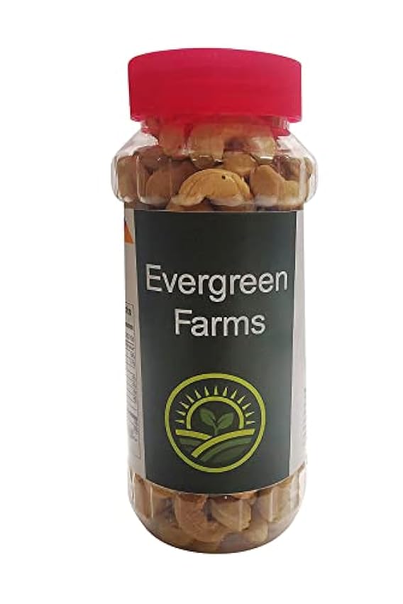 Evergreen Farms Noix de cajou entières grillées marron 