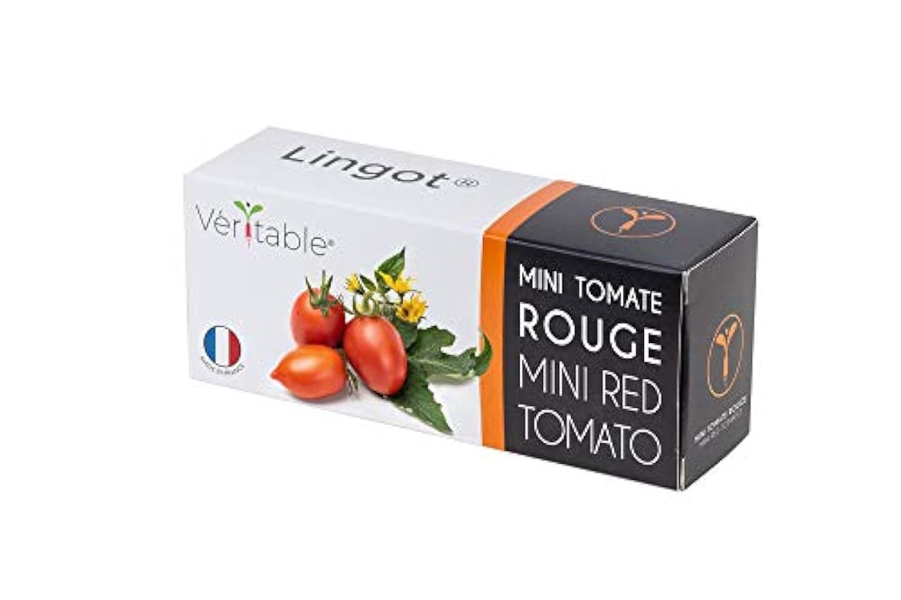 Veritable Lingot Mini Tomate Rouge nZhVULRn