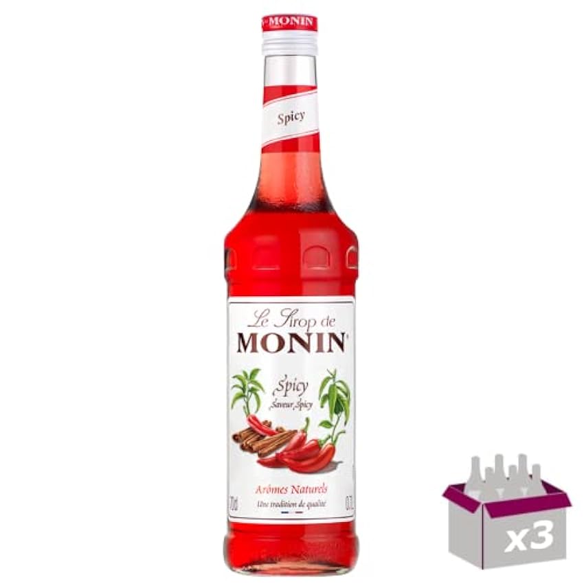 Lot de 3 Sirop Monin - Hot spicy - 70cL mDH3jCPj
