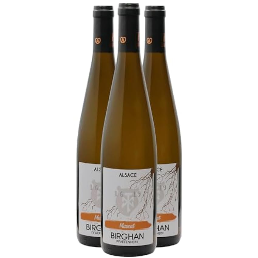 Alsace Muscat - Blanc 2022 - Birghan - Vin Blanc d´ Alsace (3x75cl) BIO nFTbqtKv