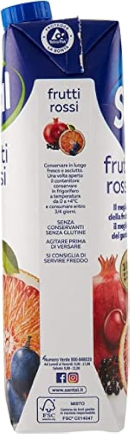 Parmalat Santal I Classici Succo di Frutta Frutti Rossi Fruits Rouges Jus de Fruits 100% Origine Naturelle Boisson rafraîchissante Tetrapack 1000ml NnxNWLgC