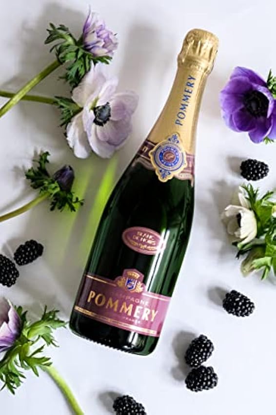 POMMERY Champagne Apanage Blanc de Noirs Bouteille 75 cl krYtsEwG
