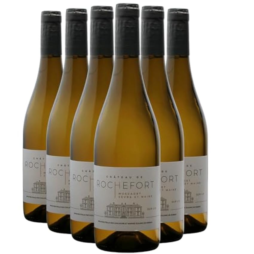 Muscadet Sèvre et Maine sur lie - Blanc 2022 - Château de Rochefort - Vin Blanc du Val de Loire (6x75cl) lmJAJ1gK