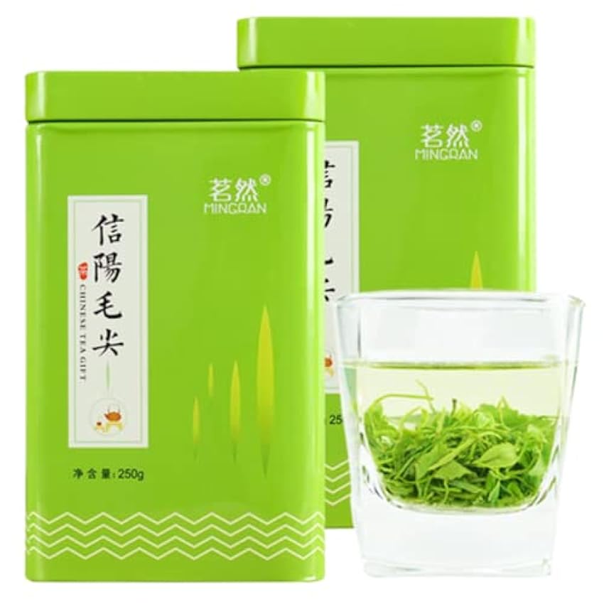 Nouveau thé vert Chine Xinyang Maojian Thé Mao Jian Thé