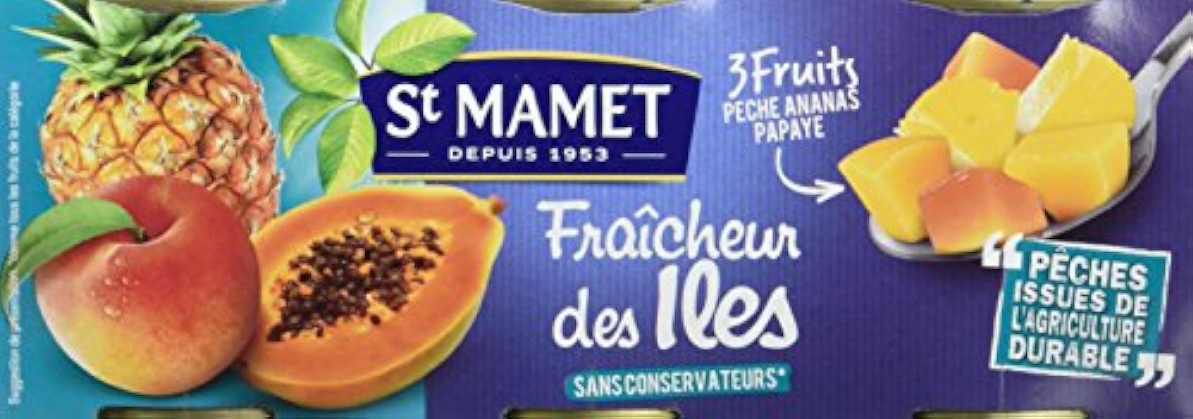 SAINT MAMET - Les Fruits en Morceaux - Les Salades de Fruits - Fraicheur des Iles - Lot de 4 LIGWTEJu