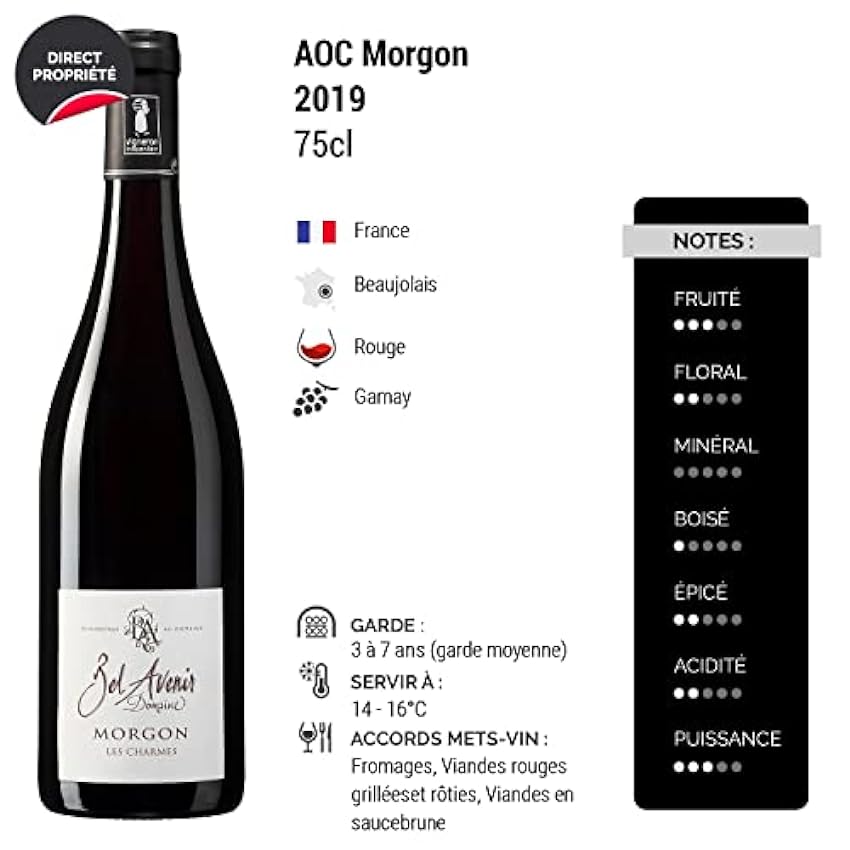 Morgon Les Charmes - Rouge 2019 - Domaine Bel Avenir - Vin Rouge du Beaujolais (3x75cl) NdBW68WT