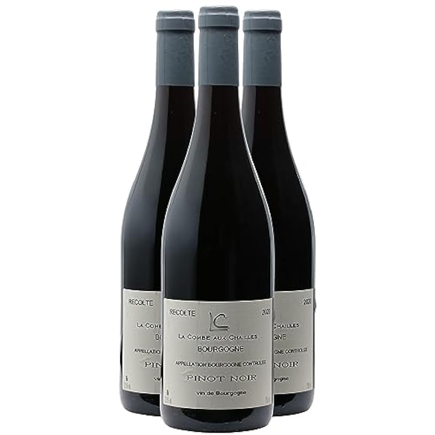 Bourgogne Pinot Noir - Rouge 2021 - La Combes aux Chail