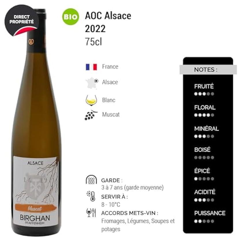 Alsace Muscat - Blanc 2022 - Birghan - Vin Blanc d´ Alsace (3x75cl) BIO nFTbqtKv
