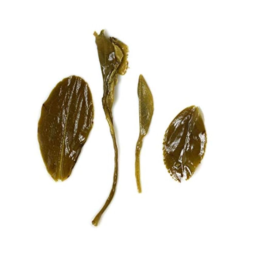 GOARTEA 500g (17.6 Oz) Supreme Organic LuShan Cloud Fog Mist Yunwu Yun Wu Spring Loose Leaf Chinese Green Tea VERT lyngHcXP
