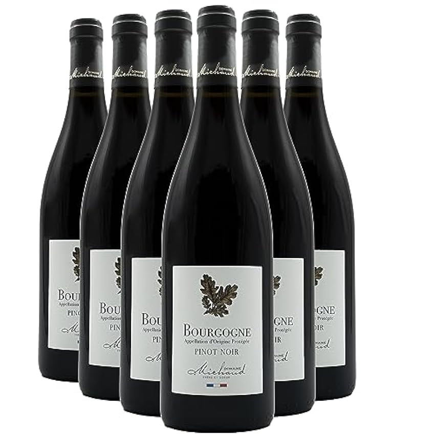Bourgogne Pinot Noir - Rouge 2022 - Domaine Michaud Frère et Soeur - Vin Rouge de Bourgogne (6x75cl) NGP1Fhoe