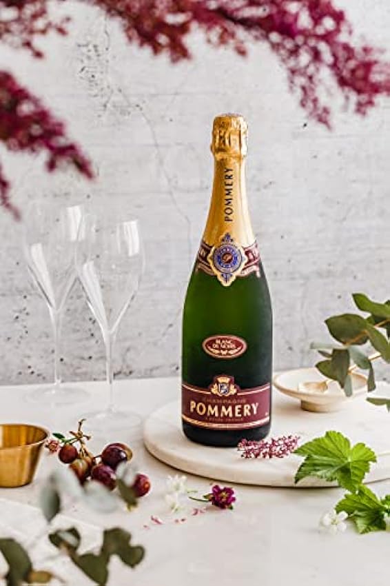 POMMERY Champagne Apanage Blanc de Noirs Bouteille 75 cl krYtsEwG