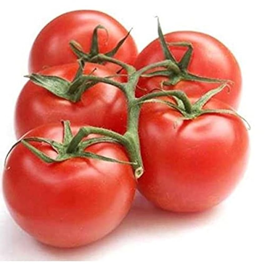 Tomate Bio en grappe Catégorie 2 - La barquette de 500g