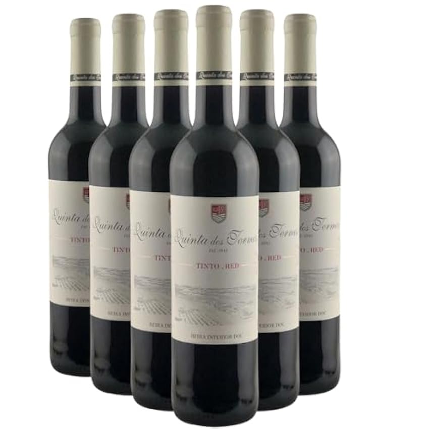 Beira Interior Tinto - Rouge 2021 - Quinta dos Termos - Vin Rouge duPortugal (6x75cl) LOZMt4F6