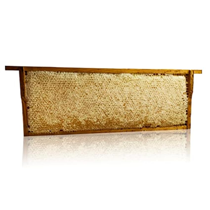 Miel en rayon Pergamo dans un cadre en bois/naturel/pro