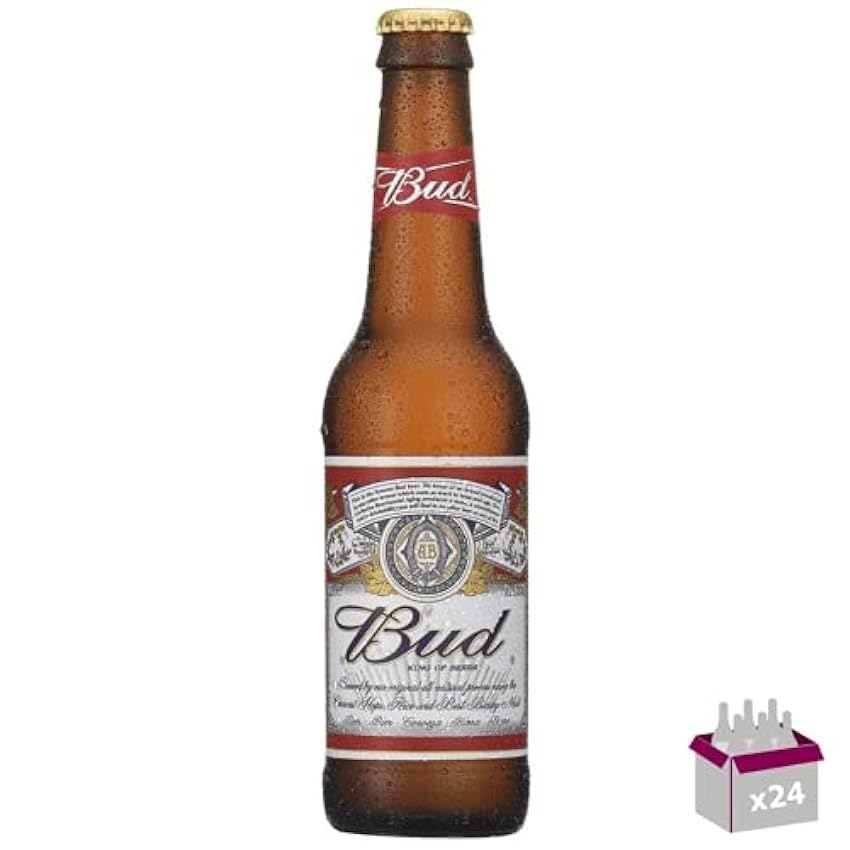 Bud Bière blonde 5° 24X33 cl verre perdu m4IWDBoz