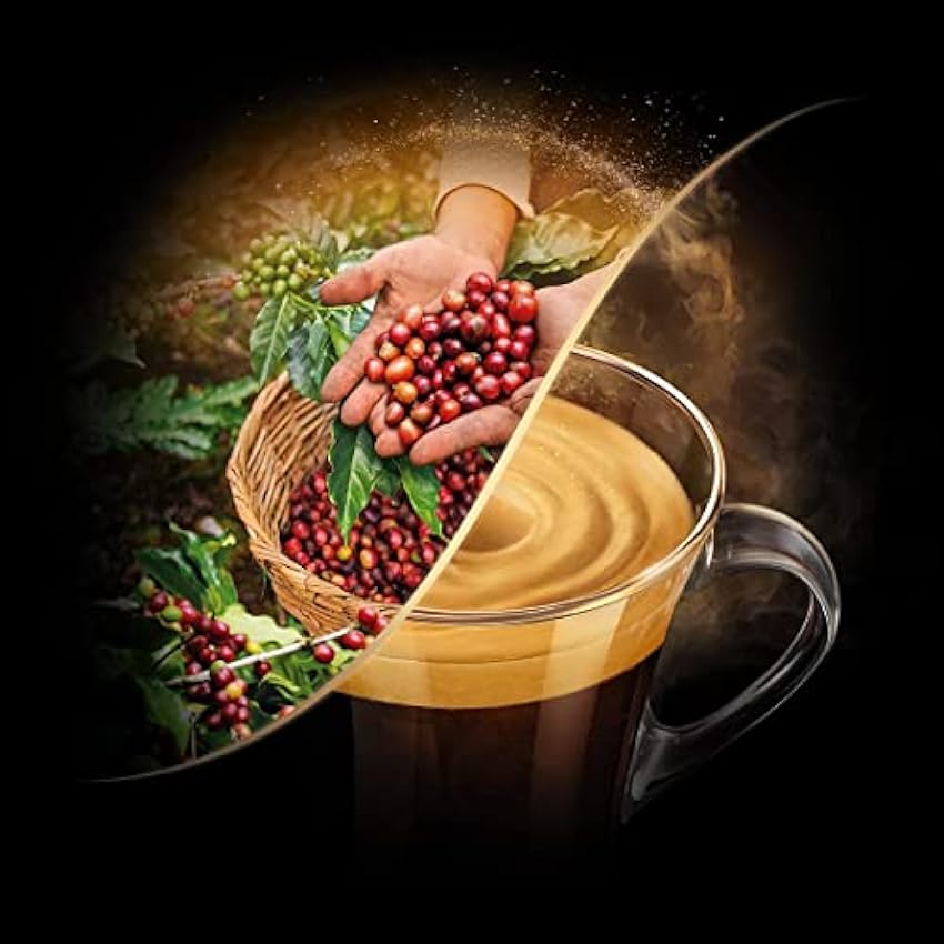 L´Or Espresso Café - 40 Capsules Forza Intensité 9 - compatibles Nespresso®* o51ZjnsC