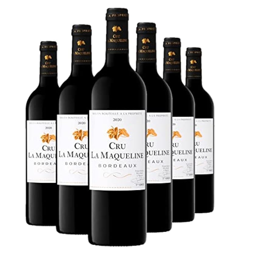 Cru la Maqueline - AOP Bordeaux - Vin Rouge - Terra Vitis - Lot de 6 bouteilles x 75 cl Oet34p6J