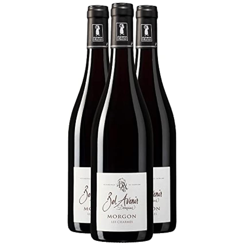 Morgon Les Charmes - Rouge 2019 - Domaine Bel Avenir - Vin Rouge du Beaujolais (3x75cl) NdBW68WT