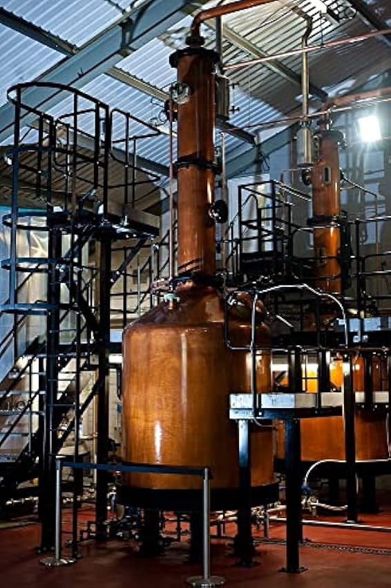 PENDERYN - Myth - Whisky Single Malt - 41% Alcool - Origine : Pays de Galles/Southern Wales - Bouteille 50 cl NknO02et
