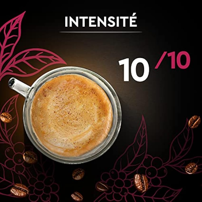 Carte Noire Café en Grains Classique, Pur Arabica, Certifié Rainforest Alliance, 2 Paquets de 1 kg & Café Grain Carte Noire Espresso - 100% Arabica - Paquet de 1 kg - Fabriqué en France lU5dEFQh