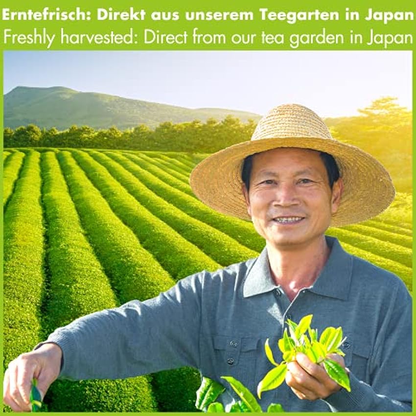 Thé Vert Matcha en Poudre Bio Japonais - Premium Qualité 100% Naturel (500g) mJxPnScx