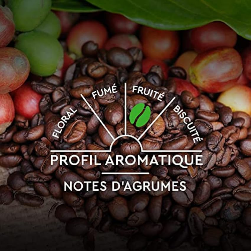 CARTE NOIRE - Capsules de Café Bio Compatibles Nespresso - Lot de 10X10 capsules oeGsTZio