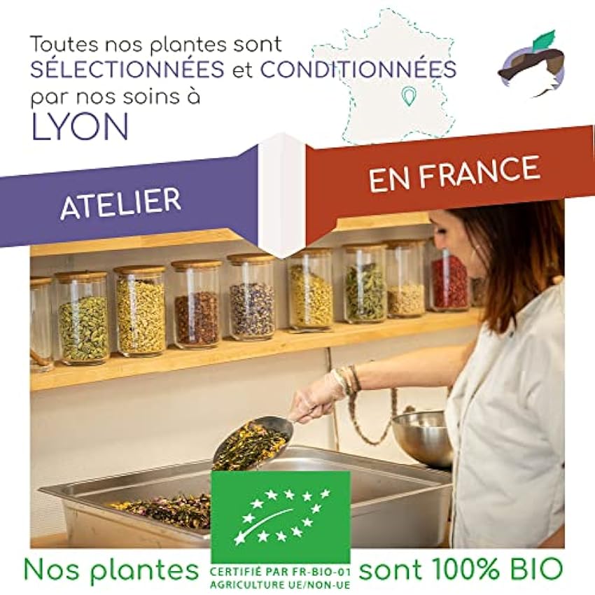 Chabiothé - Thé noir Fruits Tropicaux Bio 200g - mélangé et conditionné en France - sachet biodégradable lYMByy85