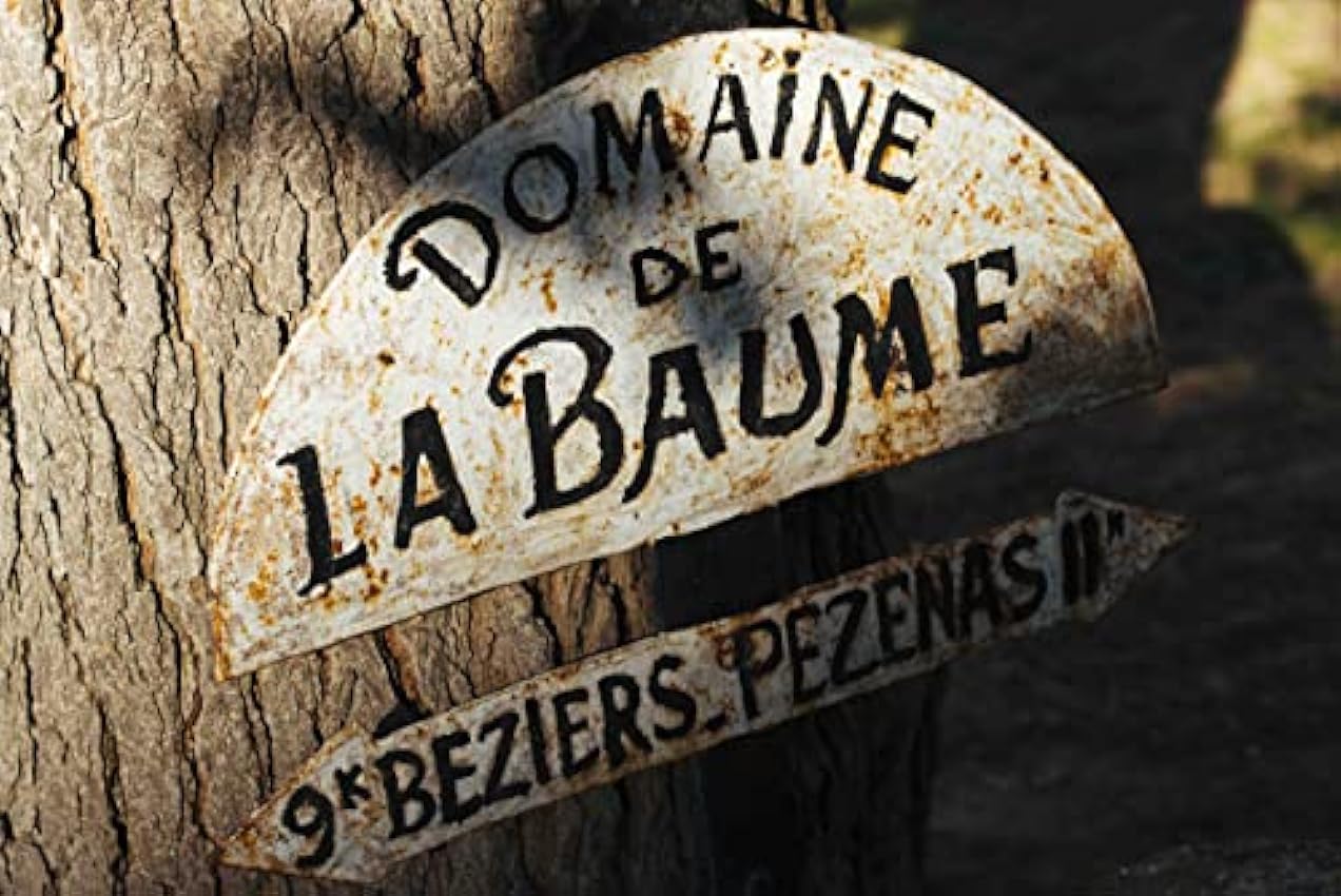 Vignobles La Baume - Chardonnay, Limoux, vin blanc élevé en fûts de chêne (1 x 0,75L) Le1i2bbt