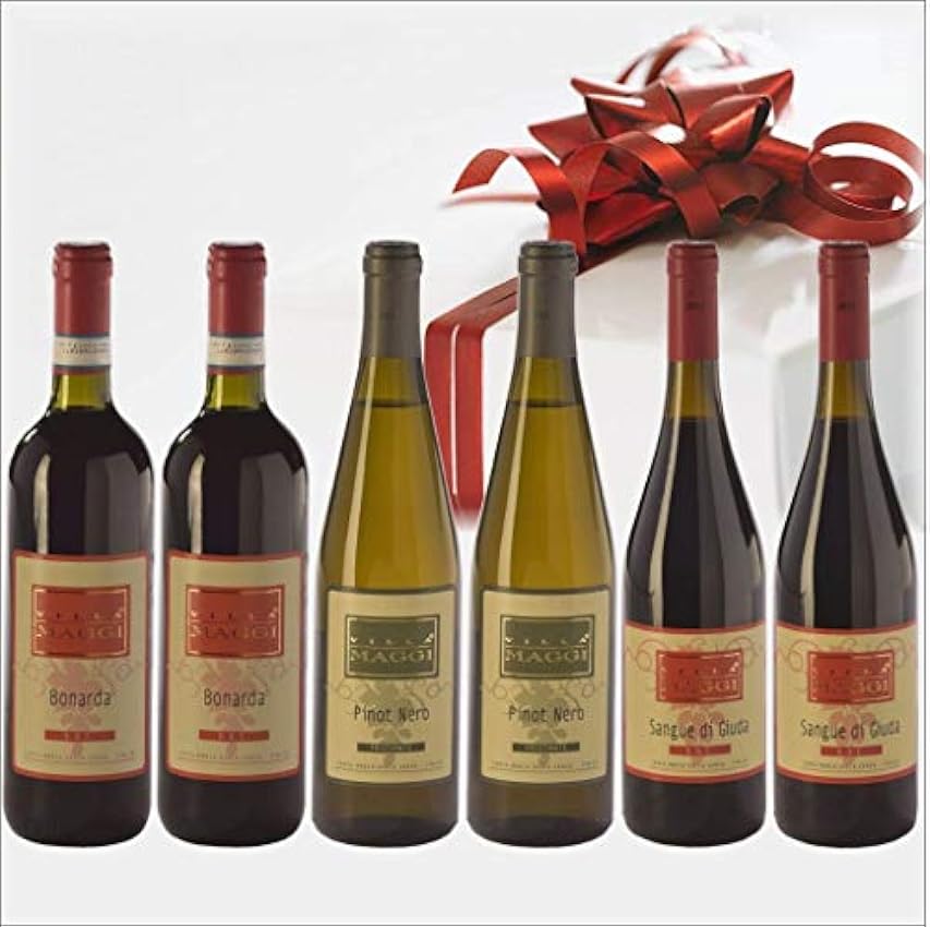 Lombardia Pack de 6 bouteilles Vins assortis Villa Magg