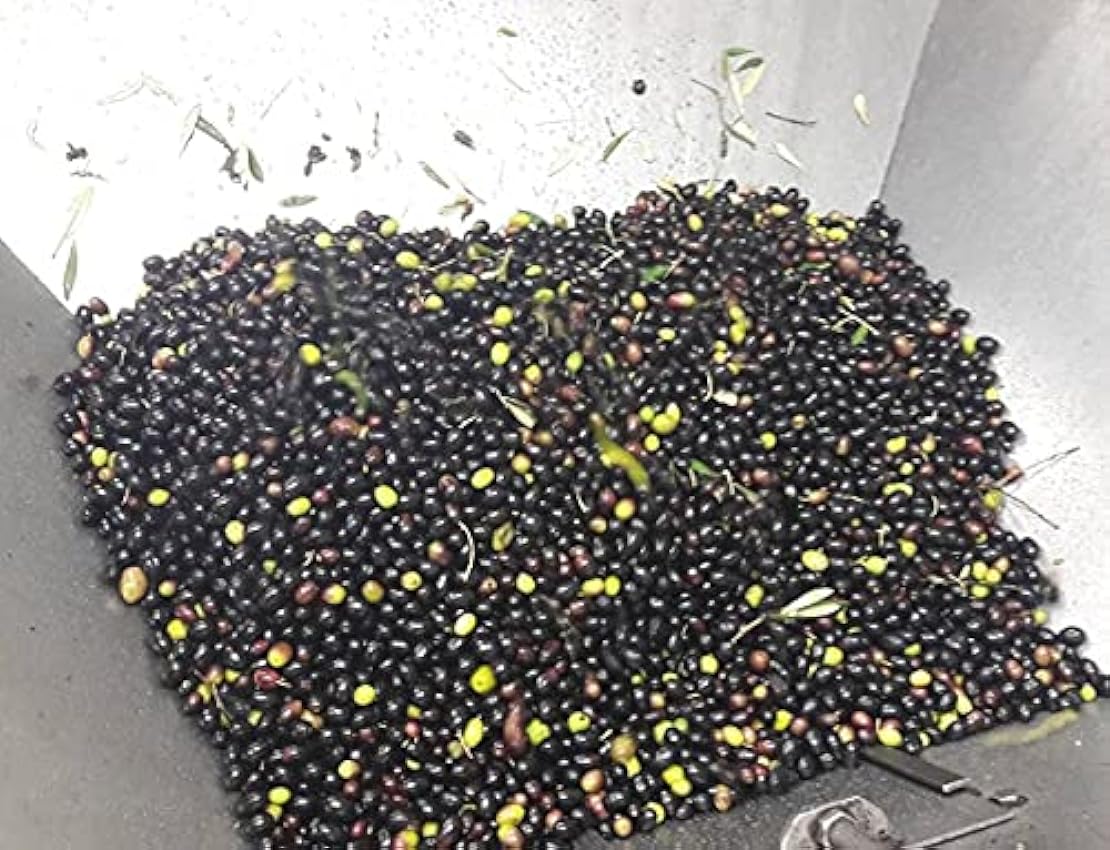 7 bidons de 1 litre - Huile de qualité supérieure obtenue à partir du traitement mécanique des olives uniquement. ndzY5Y3O