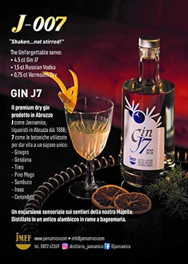Distilleria Jannamico GIN J7 – Gin botanique haut de gamme des montagnes italiennes – Goût balsamique incroyable - 700 ML O3gW5OAZ
