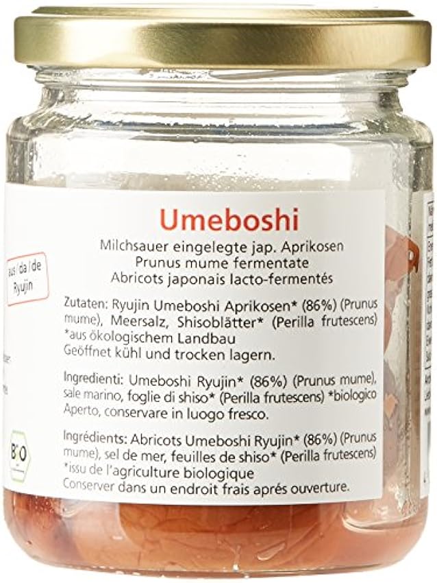 Arche Umeboshi Abricots Salés Bio 125 g Lg7XYUfP