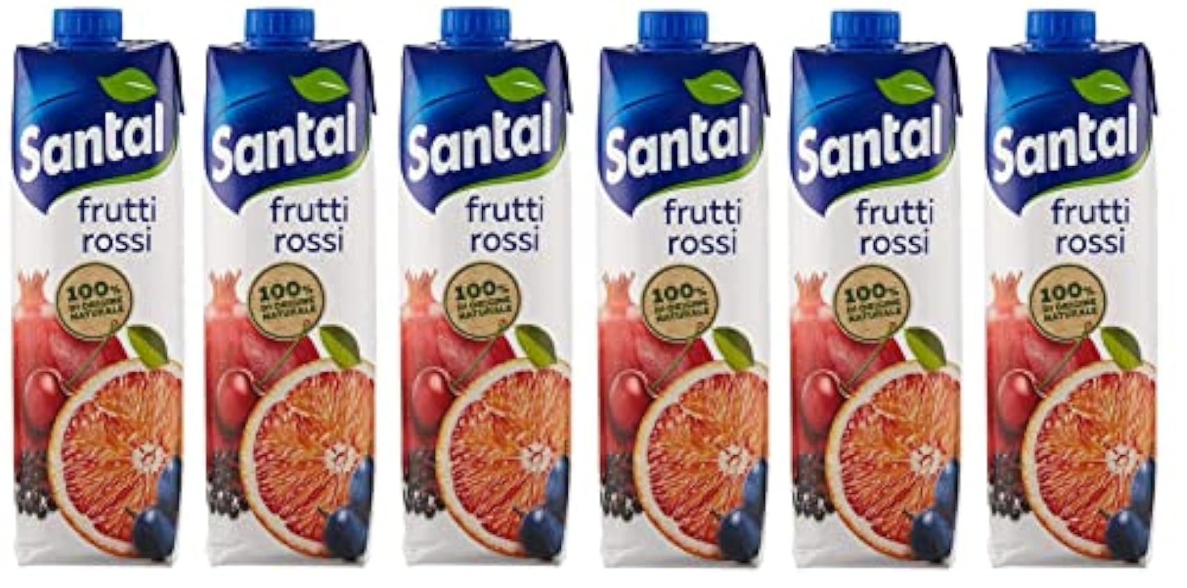 Parmalat Santal I Classici Succo di Frutta Frutti Rossi