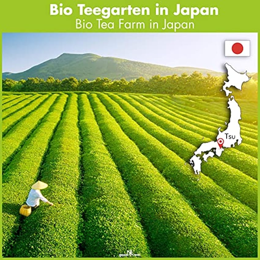 Thé Vert Matcha en Poudre Bio Japonais - Premium Qualité 100% Naturel (500g) mJxPnScx