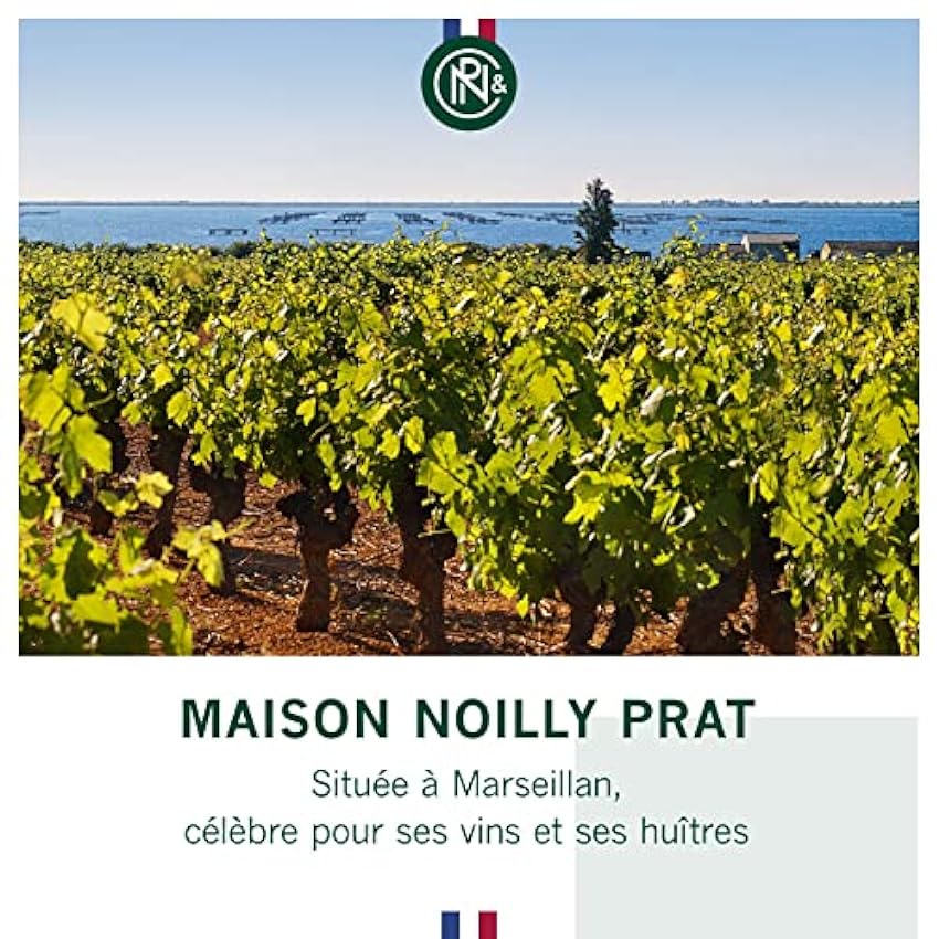 Noilly Prat Original Dry, Vermouth français idéal pour cocktail Martini , 18% vol, 75cl/750ml Lf4m4ACW