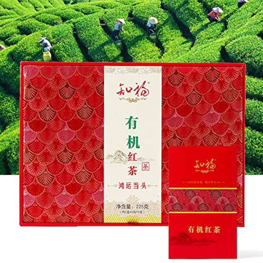 225 g de thé noir bio thé rouge chinois thé chinois Kung Fu thé en vrac boîte-cadeau pour les amateurs de thé cérémonie du thé après-midi fête boissons au thé lUzMY4aR