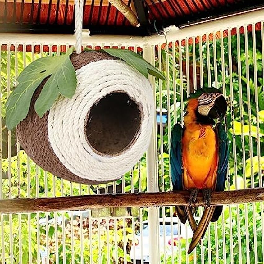 vzfit Mangeoire en noix de coco | Mangeoire à oiseaux en coquille de noix de coco naturelle, nid d´oiseau tissé à la main pour perroquets, hirondelles, conures, moineaux o2ZuYdsL