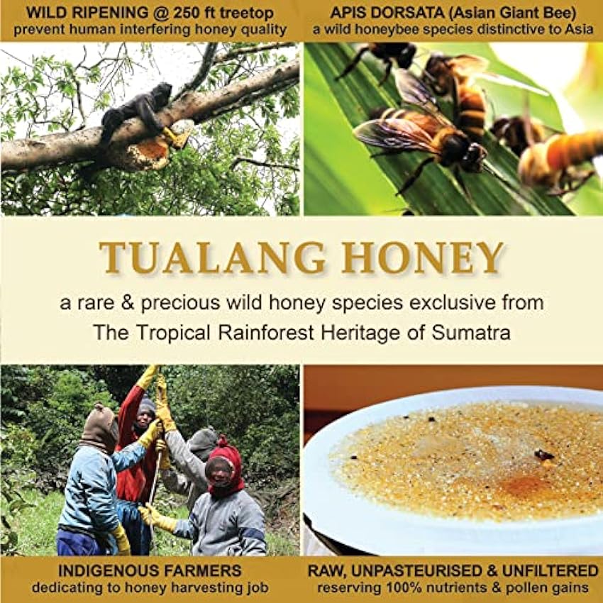 Tualang Gold Honey (goût amer) 50g | Activité totale 10+ | Pollen 200+ | Choix suprême pour la thérapie adjuvante | Plusieurs récompenses gagnées mMN95PRs